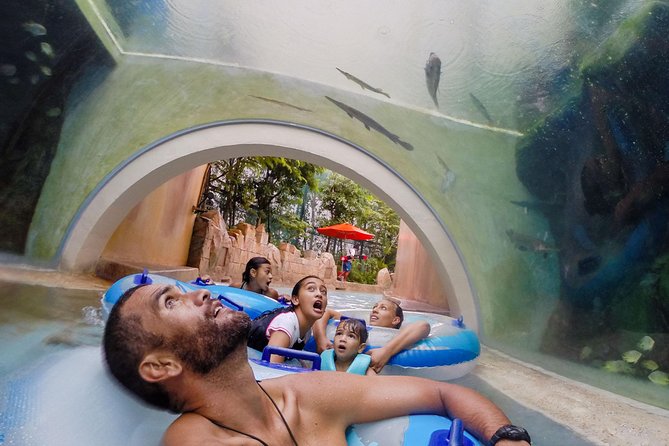 Singapore Adventure Cove Waterpark (Shared Transfer) - Last Words