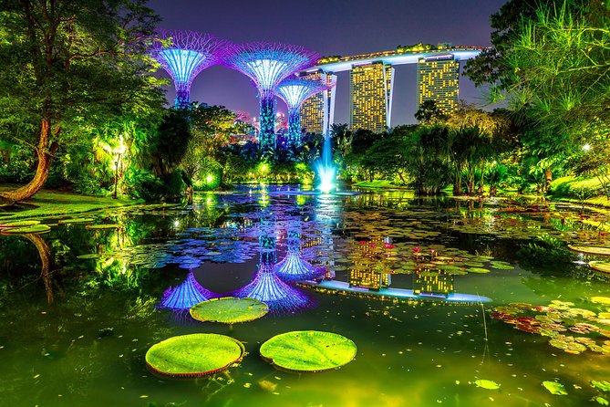 Singapore Night Tour With a Local: Private & 100% Personalized - Reviews and Ratings