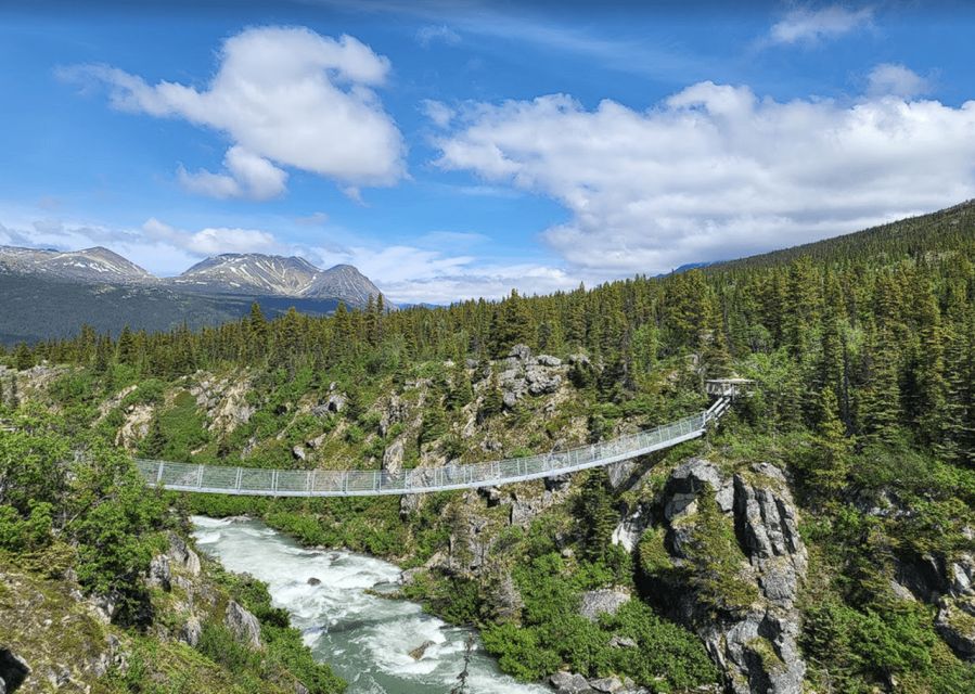 Skagway: Bridge, Puppies and Summit Triple Combo - Experience Details and Additional Info