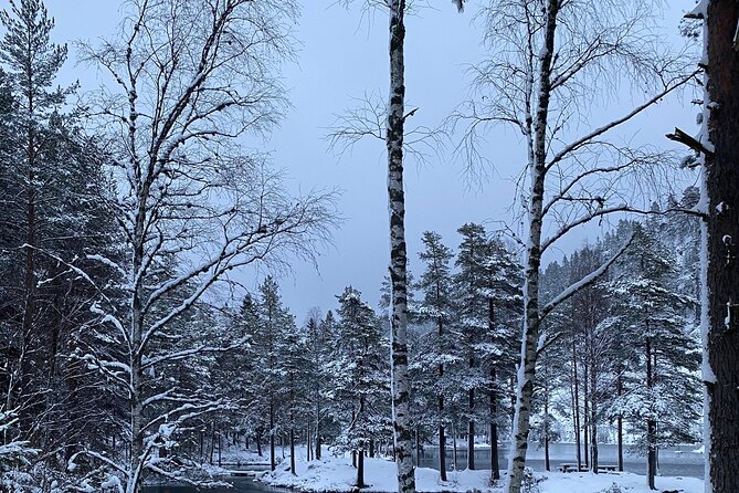 Skogshytte' Norwegian Winter Cabin Destination Hike - Last Words