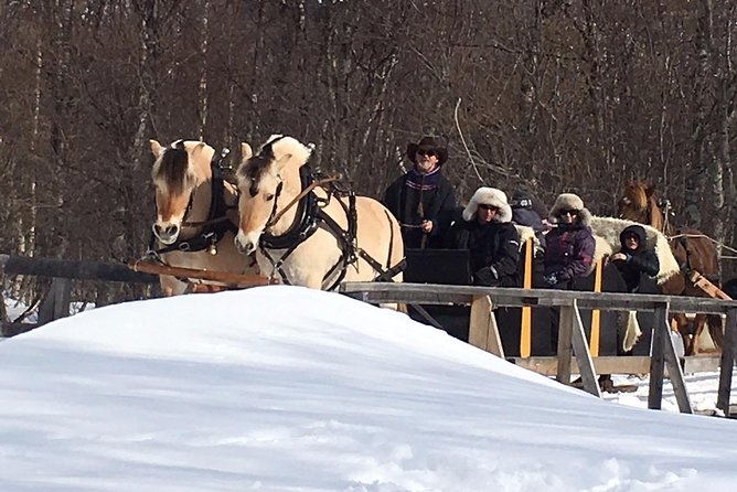 Sleigh Ride W/ Tapas Meal - Experience Arctic Farm Life - Last Words