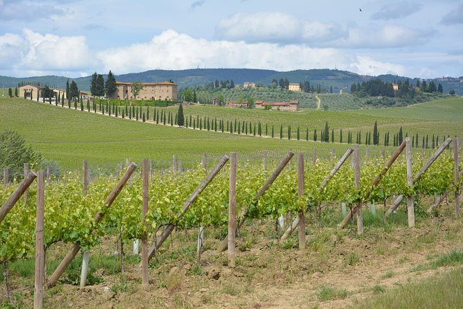 SMALL GROUP Chianti 2 Wineries & Lunch (Max 8 People) - Booking Requirements