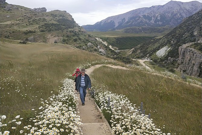 Small-Group Day Tour by Train From Christchurch, Arthurs Pass - Common questions