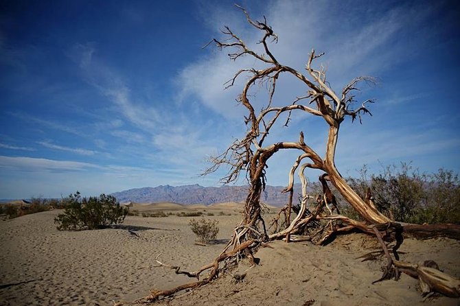 Small-Group Death Valley National Park Day Tour From Las Vegas - Common questions