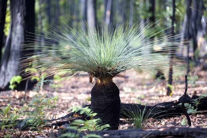 Small-Group Grampians Great Wilderness Escape Day Trip With Hiking - Pricing and Booking Information