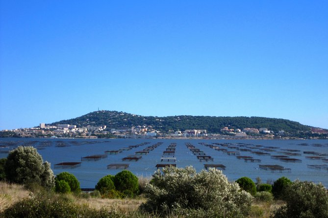Small-Group Half-Day Languedoc Wine and Oyster Tour From Montpellier - Destination and Tour Experience