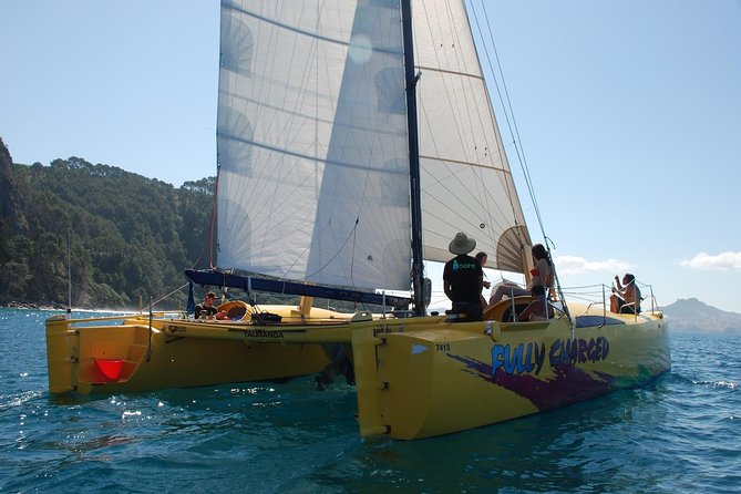 Small-Group Half-Day Sailing Tour With Snorkeling, Cooks Beach  - Whitianga - Common questions