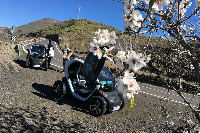 Small-Group Half-Day Twizy Tour in Tenerife (Mar ) - Common questions