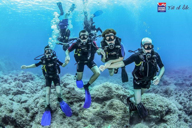 Small-Group Introductory Scuba Diving Class, Crete (Mar ) - Flexible Cancellation Policy