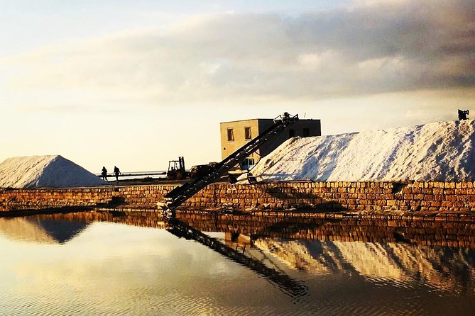 Small Group Tour of the Natural Reserve of the Saline Di Trapani and Paceco (Mar ) - Tour Pricing and Booking Details