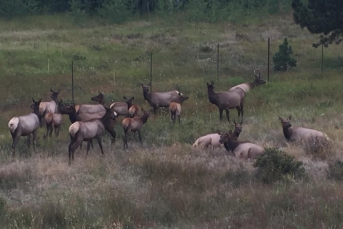 Small-Group Tour of the Rocky Mountain National Park From Denver - Cancellation Policy