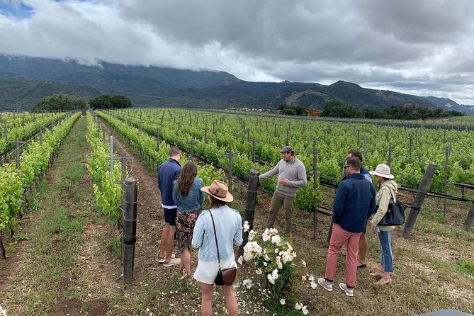 Small-Group Wine Tour to Private Locations in Santa Barbara - Ynez Valley Tour Highlights