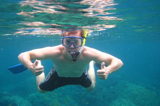 Snorkel Tour to Captain Cook Monument Kailua-Kona, Big Island - Last Words