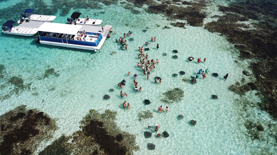 Snorkeling Activity in Stingray City Antigua - Transfer Inc. - Directions
