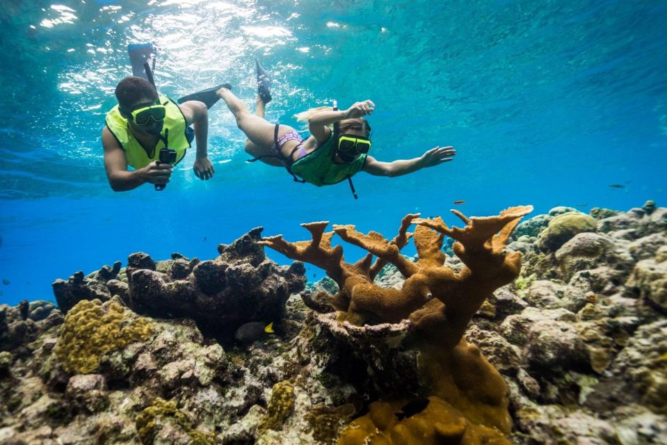 Snorkeling Activity With Boat Ride in Montego Bay - Refreshments and Snacks