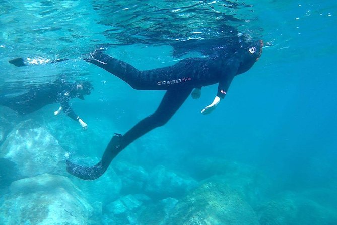 Snorkeling in Gran Canaria With Hotel Pick-Up - Last Words