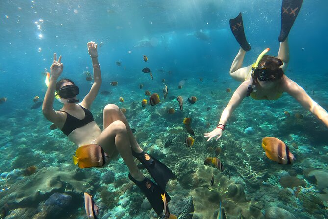 Snorkeling In Nusa Penida Departing From Bali Island - Scenery and Wildlife Experience