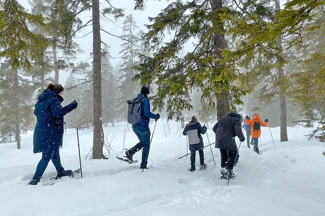 Snowshoe Tour in Winter Wonderland - Oslo - Last Words