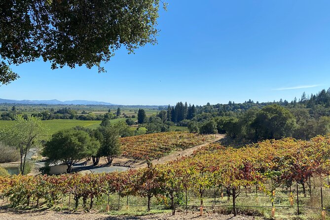 Sonoma County Winery Tour With Tastings  - Santa Rosa - Last Words