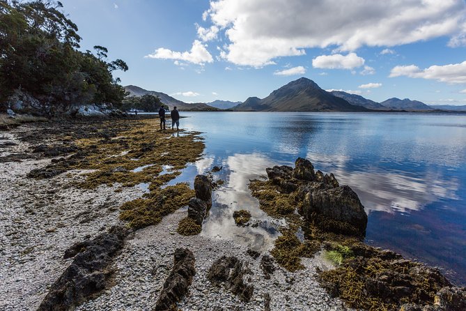 Southwest Tasmania Wilderness Experience: Fly Cruise and Walk Including Lunch - Last Words