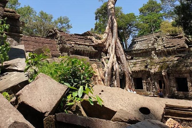 Special Three Days Angkor Tour - Booking and Pricing Details