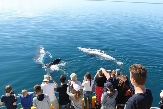 Spirit of Hervey Bay Whale Watching Cruise - Common questions