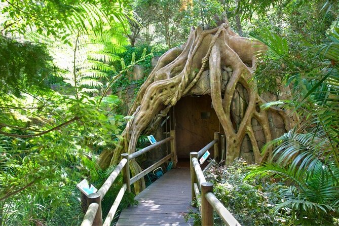 Springbrook Andtamborine Rainforest Tour Incl Natural Bridge and Glow Worm Cave - Last Words