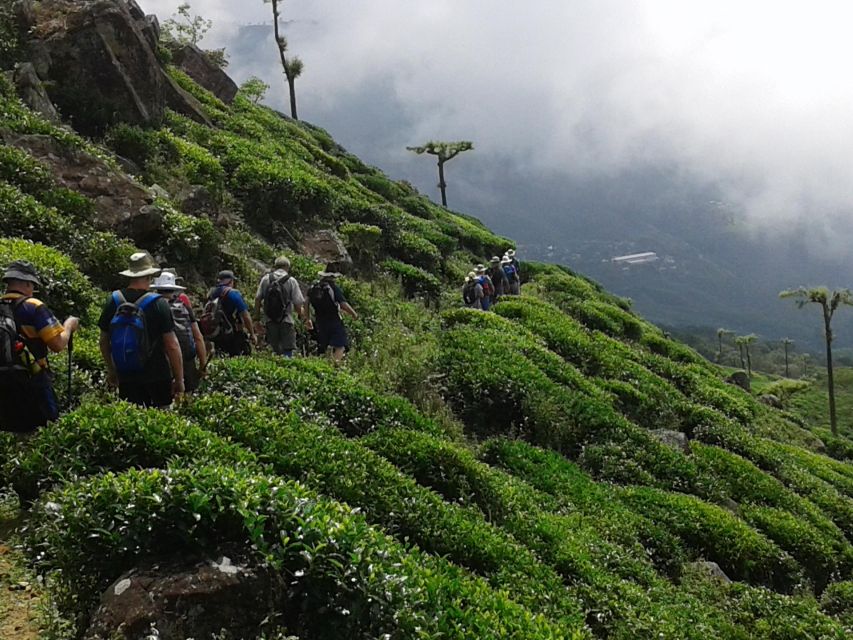 Sri Lanka Holidays With One Week Trekking the Pekoe Trail - Taking in Local Culture and Cuisine