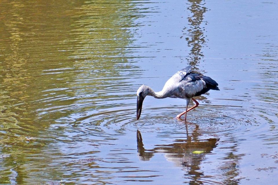 Sri Lanka South Coast, River Safari, Galle Fort, Sea Turtle - Common questions