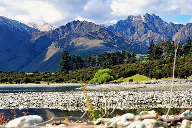 Stevensons Island Cruise and Nature Walk From Wanaka - Booking Information