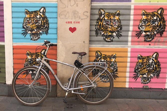 Street Art Private Bike Tour - Tour Highlights