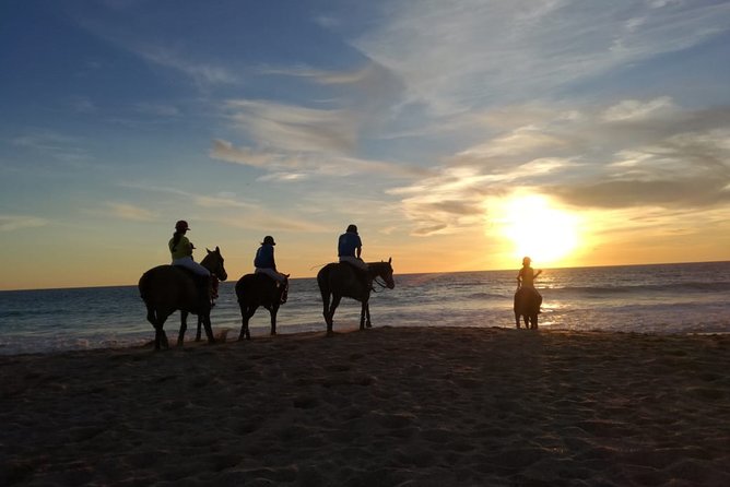 Stunning Sundown Beach Ride ... on Horseback! - Pricing and Tour Activity Details