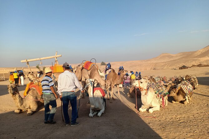 Sunset Camel Ride Agafay Desert Marrakech - Sunset Camel Ride Details