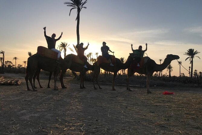 Sunset Camel Ride in the Palm Grove Of Marrakech - Common questions