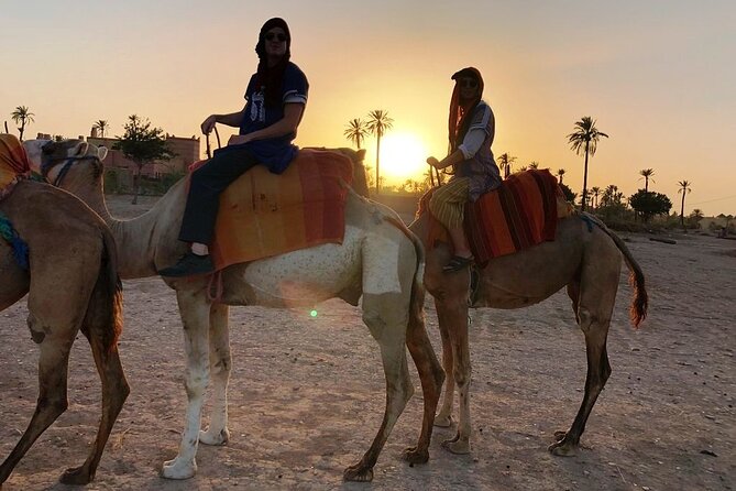 Sunset Camel Ride Tour in Marrakech Palm Grove - Common questions