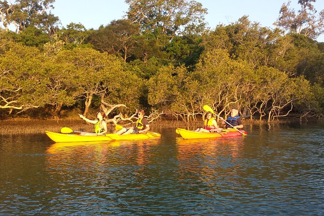 Sunset Kayak Eco Tour With Marine Scientist - Booking Information