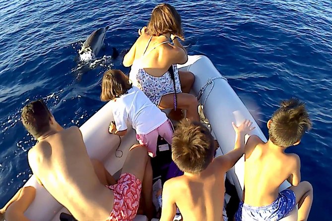 Sustainable Dolphin Watching Tour With Marine Biologist (Mar ) - Last Words