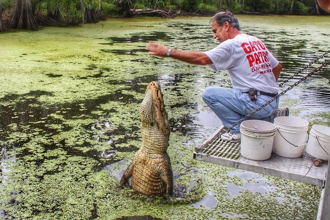 Swamp Boat Ride and Oak Alley Plantation Tour From New Orleans - Cancellation Policy