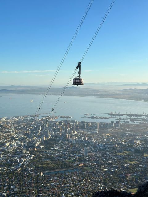 Table Mountain & Cape of Good Hope & Penguins Full Day - Wildlife Encounters and Penguin Viewing