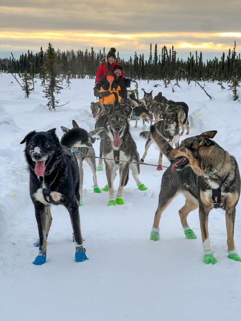 Talkeetna: Winter Dog Sled Tour Morning or Night Mush! - Last Words