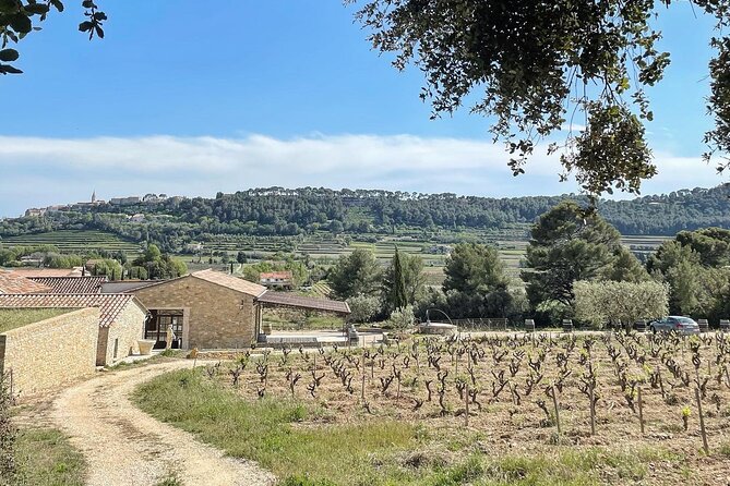 Tasting Bandol Wines & Visit of Cellar (in English) - Common questions