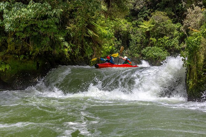 Tauranga Shore Excursion: Rotorua Highlights - Common questions