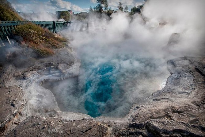 Tauranga - Wia O Tapu Wonderland & Rotorua Geysers: Private Tour - Common questions