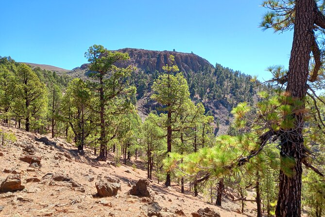 Tenerife Guided Hiking Tour (Mar ) - Last Words