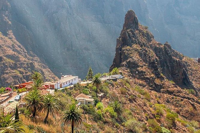 Tenerife Highlights Full-Day Tour - Overall Tour Experience and Satisfaction