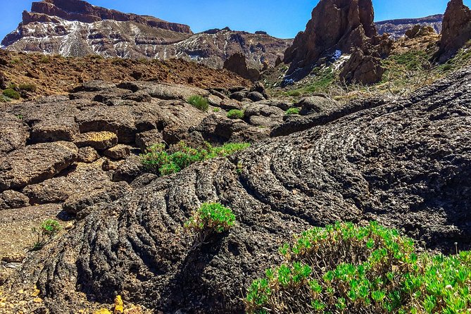 Tenerife South Private Tour: Secrets of the Volcanoes - Common questions