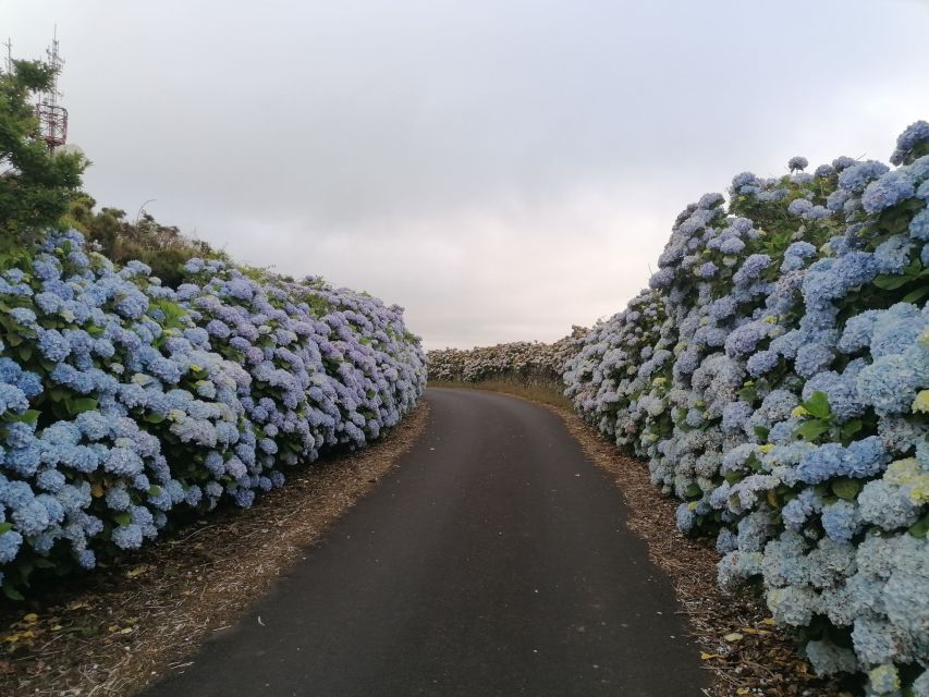 Terceira - Private Group - Full Day Guided Bus Tour - Last Words