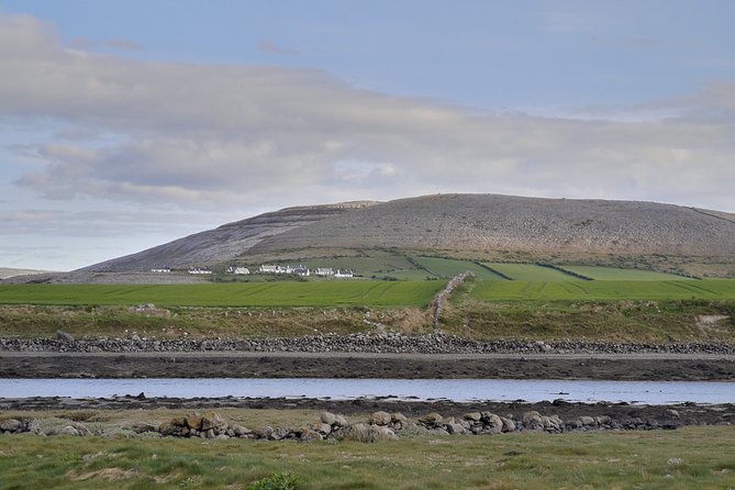 The Burren and Cliffs of Moher Full Day Private Tour From Galway - Common questions