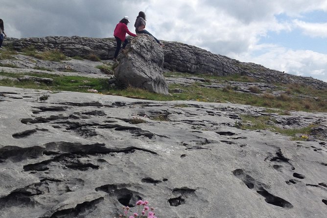 The Cliffs of Moher and Burren National Park Private Tour. - Support and Contact Information