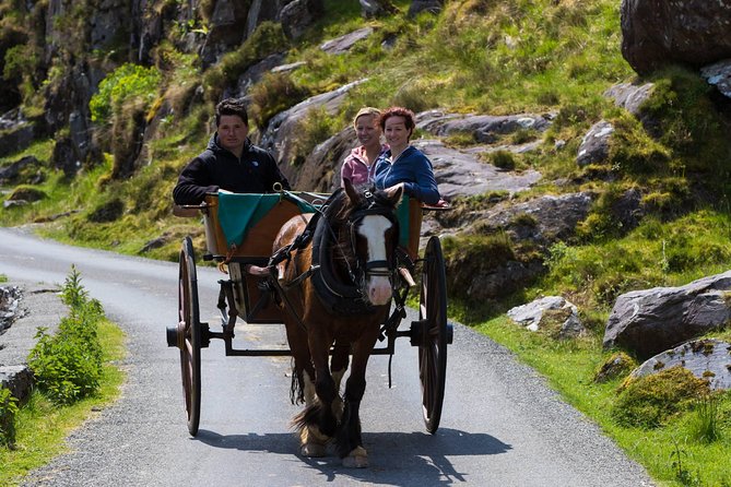 The Gap of Dunloe Full-Day Tour From Killarney - Last Words